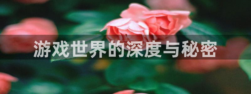 yth游艇会